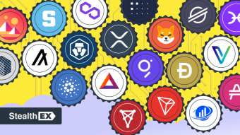 StealthEX Crypto Newsletter — Issue #35, Safe Start with Cheap Crypto