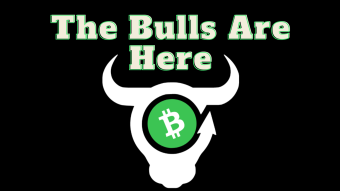 BCHBULL - Understanding Concepts About this BCH priceless app
