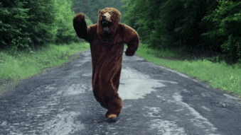 I Ended The Bear Market.