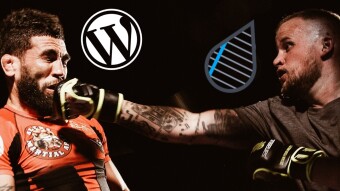 Publish0x vs WordPress + AdSense: which makes me the most money?