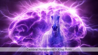 Cerebral Horsepower (Original Poetry)