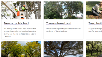 So... many... trees...