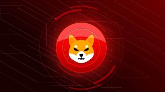 BINANCE BURNING TRILLIONS SHIBA INU COINS