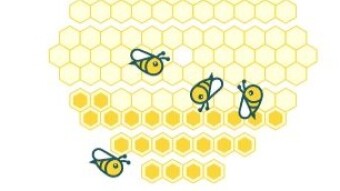 Honeygain - earn Money while sleeping (English Edit)