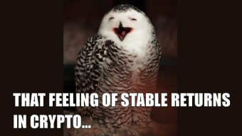 WISE Presale on BSC is Wrapping Up Soon! A Quick Look at a Stability-Focused Play