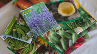 Seeds Selling Fast at Online Retailers