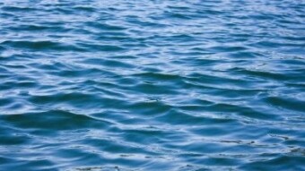 Beware of vamps (An original short story) Part 2 of 5