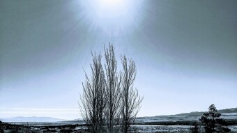 Solitude