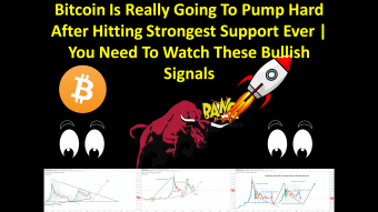 Bitcoin Is Really Going To Pump Hard After Hitting Strongest Support Ever | You Need To Watch These Bullish Signals
