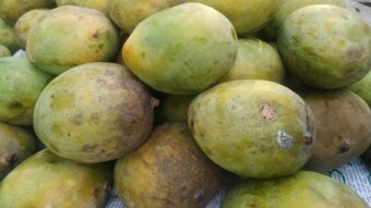 Blessed With Seasonal Fruits This Year