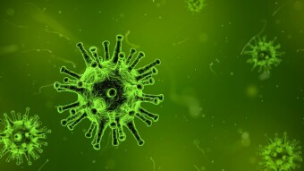Bitcoin, Gold and Coronavirus