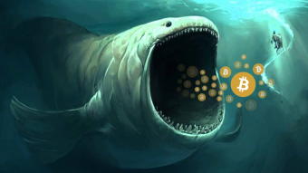 Bitcoin whales bought $2.85 Billion in Bitcoin while you FUD