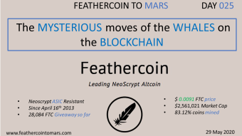 DAY 025: The MYSTERIOUS moves of the WHALES on the BLOCKCHAIN