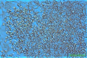 Full Spectrum Style Transfer Art - Flowering tree canopy
