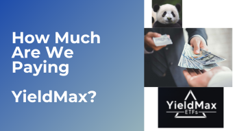 How Much Are We Paying YieldMax?