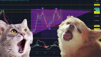 BITCOIN, LITECOIN AND ETHEREUM fall while others make big gains / ZCASH, QUANT, REN, (analysis).