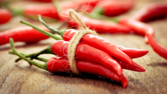 SCIENTISTS: SPICY FOODS CAN BE DANGEROUS TO THE BRAIN