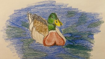 Duck!