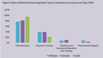 Dangers for humans during migration