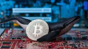 A $ 111 million Bitcoin Transfer took place. How much transfer fees were paid?