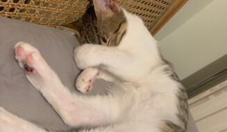 Can you please close the lights????