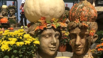Halloween in Vietnam, part 2.