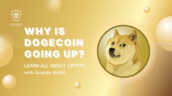 Why Is Dogecoin Going Up? Understanding the Factors Driving Its Growth