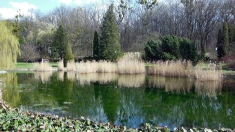 Spring atmosphere during winter walks