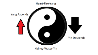 Managing Student Stress With TCM Formulas Part 2