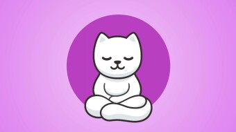 Kittycoin Launch Phase - Earn 25,000 $KSOL