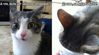 Why are conspiracy theories so popular in Russia