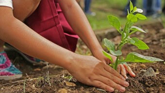8 cosas que hacemos en casa para ayudar a nuestro planeta.