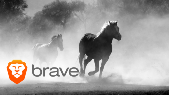 Surveillance Capitalism and the Internet Era – Why We Need Brave! Final Part