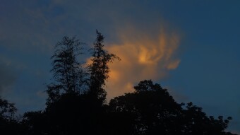 Sunset heals