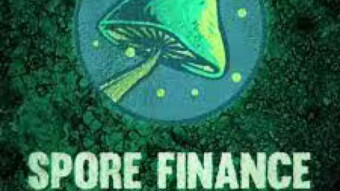 What is Spore Finance?