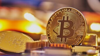 Large Cap Crypto portfolio update: down, but not out
