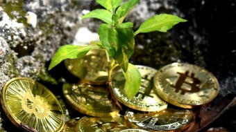 Solo-mining BTC with renewables at home. I did the math, so you don't have to.