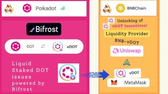 From Polkadot to Binance: My First Steps with vDOT’s Cross-Chain Journey