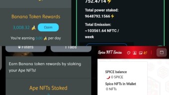 One Year sBCH NFTs Stacking, No Profit but I have...