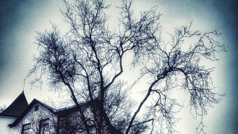 "The human condition" and "existencial dread". My thoughts and photos from the passing week, and a pledge!