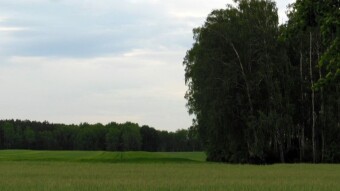 After the night storms, a slight cooling, but still pleasant and the "chelops" pyramid - My Actifit Report Card: May 6 2024