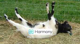 Dropping Harmony