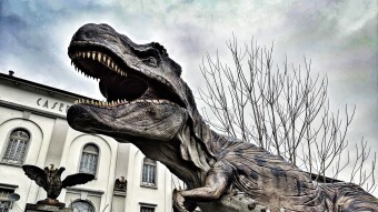 T-Rex: Dinosaur King