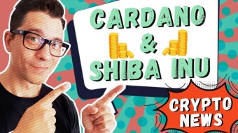 BULLISH: Whales Accumulate ADA (Cardano) & SHIB (Shiba Inu)