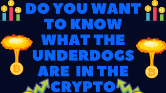 Underdog Cryptos on Nobody's radar