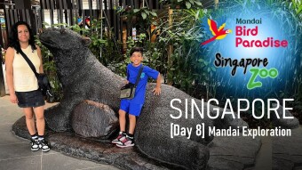 [Day8 - Singapore] Singapore Zoo + Bird Paradise