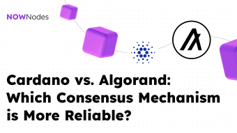 Cardano vs. Algorand: Which Consensus is More Reliable?