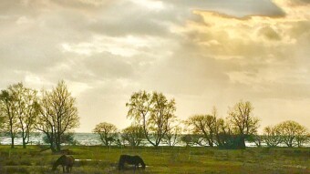 Baltic Sea