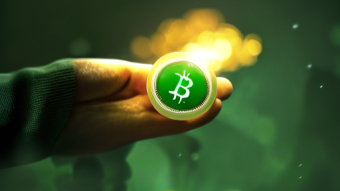 The Great Bitcoin Debate: BTC vs BCH, Which One Stays True to Satoshi's Vision?