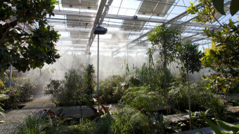 Scientific innovations for human problems [Wastewater treatment]. Organica (Beautiful wastewater treatment revolution)